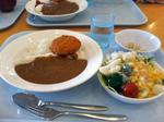 070414クリームコロッケカレー