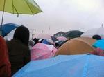 071009TDL雨