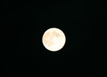 110912十五夜満月.jpg