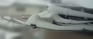 140208大雪1.jpg