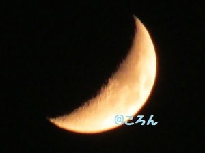 150919弓張月1-1.jpg