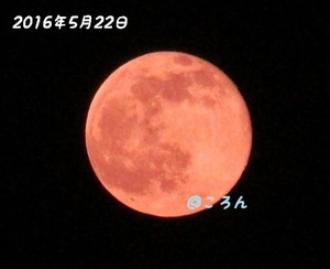 160522満月1-1.jpg