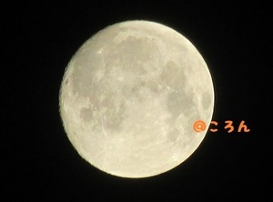 160915十五夜1-1.jpg