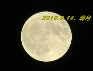 20190914220733199.jpg