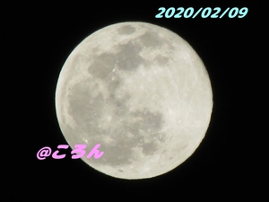 20200211062639336.jpg