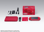 PSPJ-30010