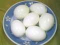 P1000016.jpg